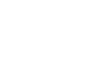 vibe-2.png